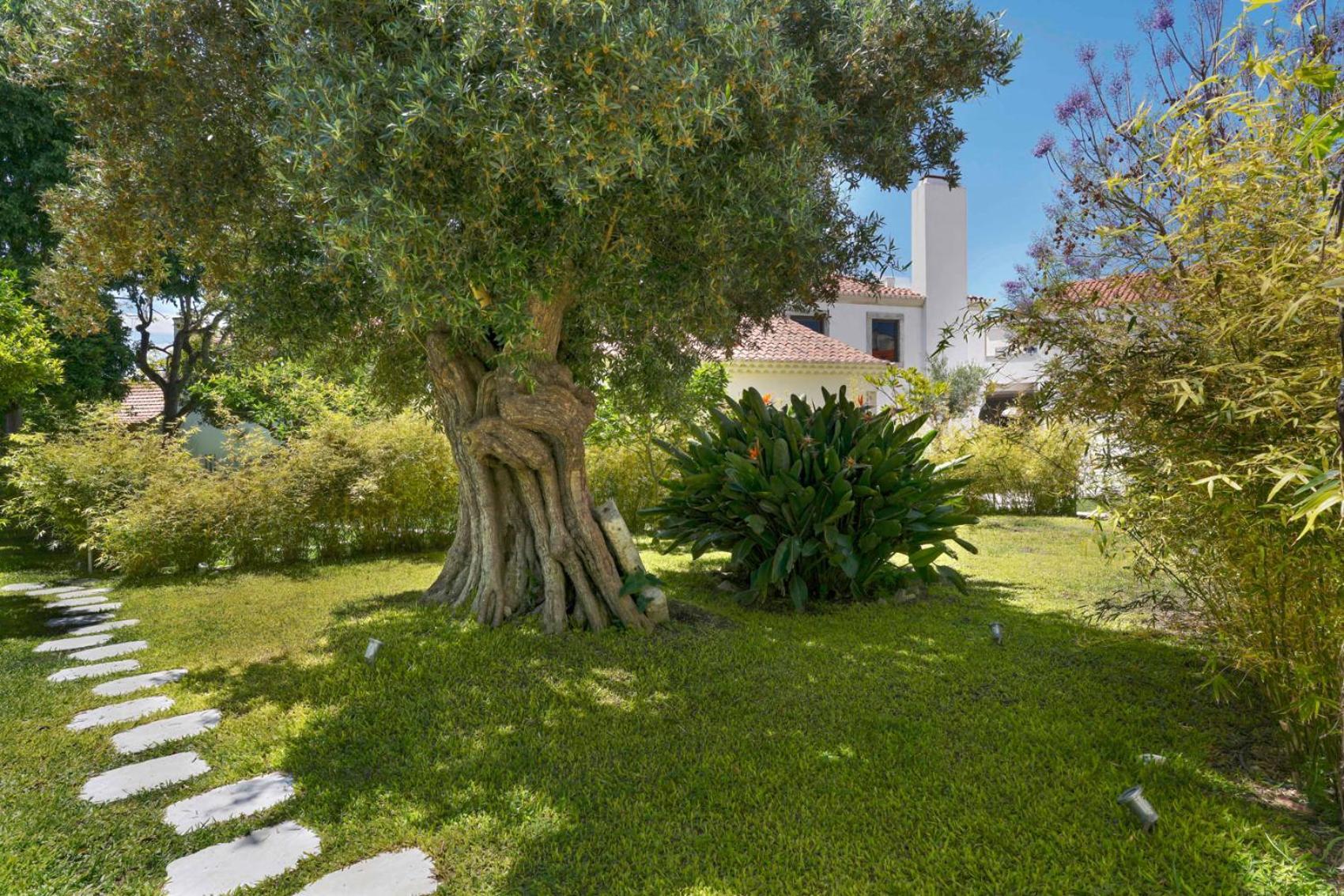 Jardim De Copas Daire Alcochete Dış mekan fotoğraf